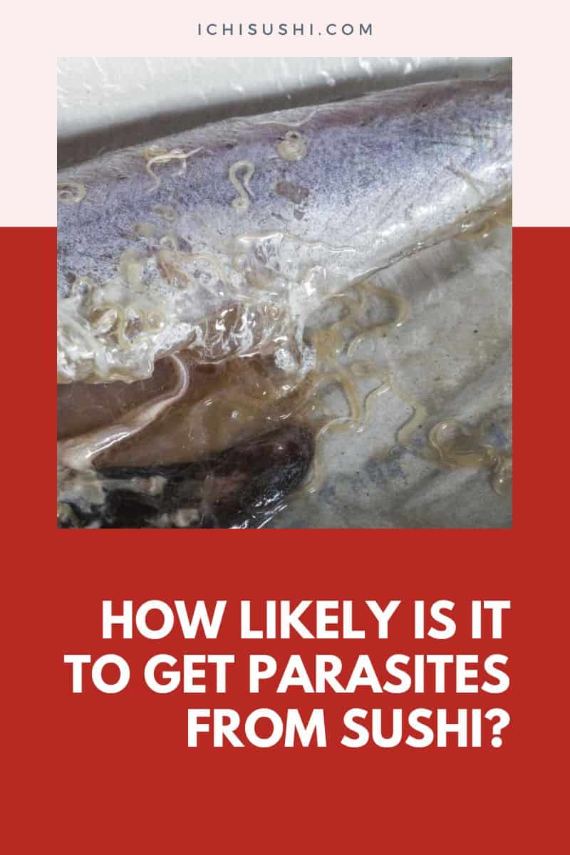 How Likely Is It To Get Parasites From Sushi