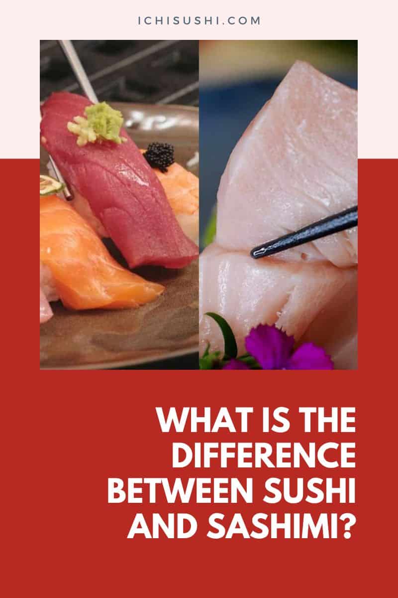 What Is The Difference Between Sushi and Sashimi