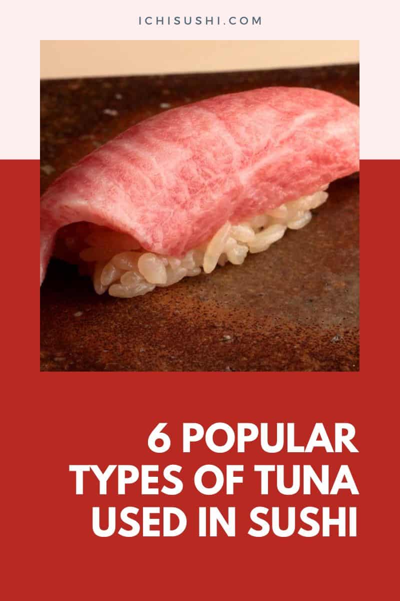 6 Popular Types Of Tuna Used In Sushi