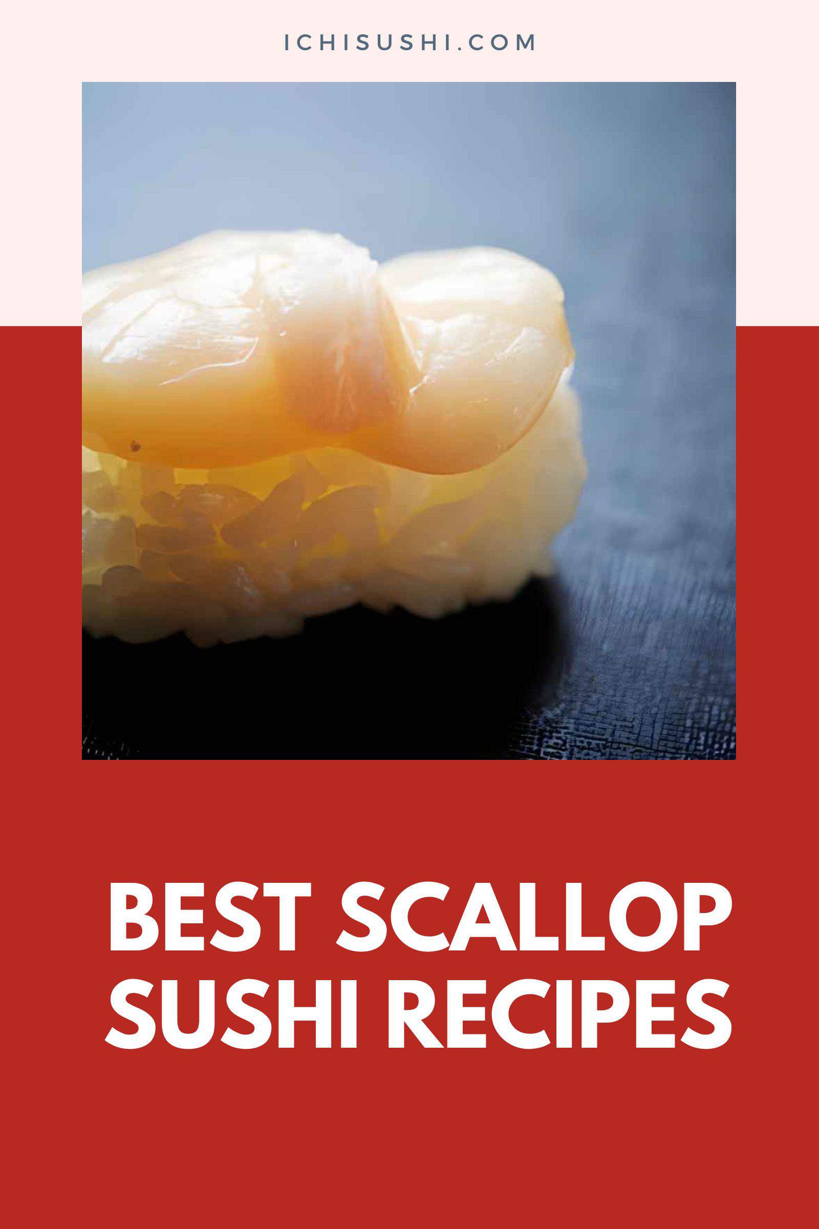 Best Scallop Sushi Recipes