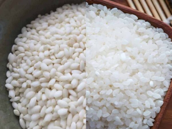 Sticky Rice vs. Sushi Rice – Similarities & Differences