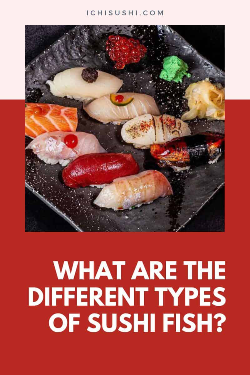 What Are The Different Types Of Sushi Fish