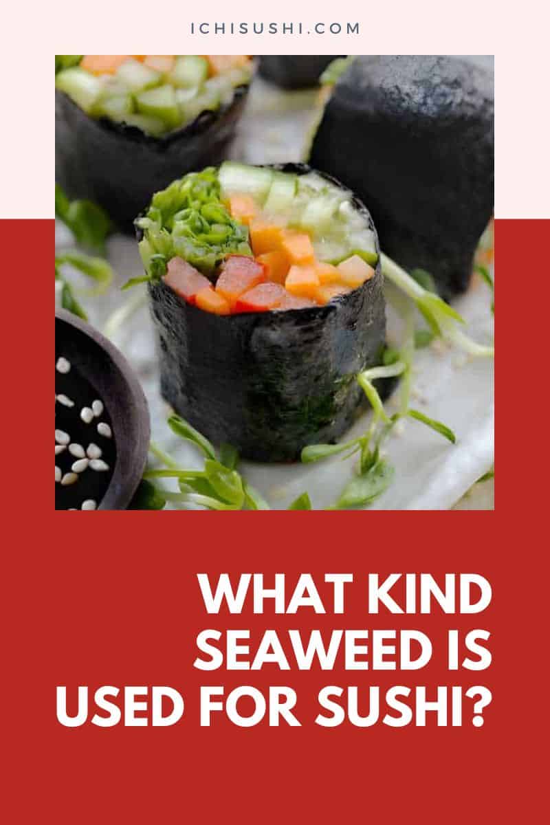 What Kind Seaweed is Used For Sushi