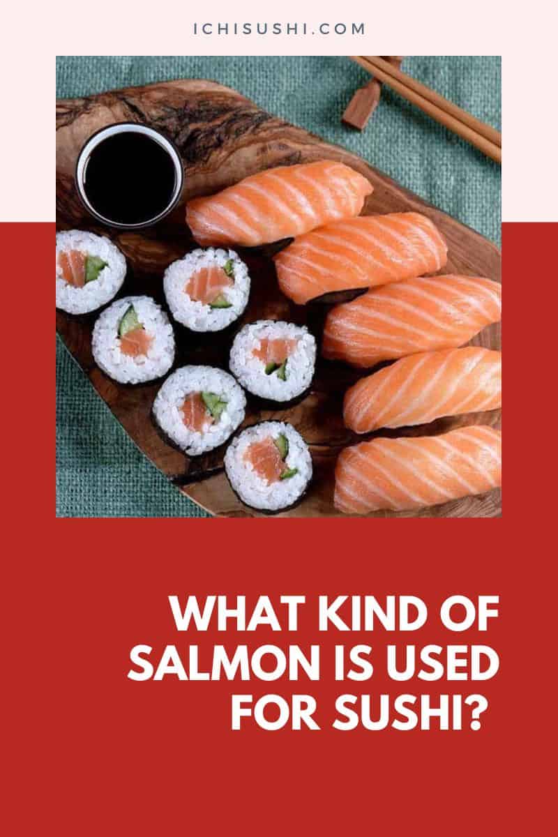 What Kind of Salmon Is Used For Sushi (Salmon Sushi Hacks To Try!)
