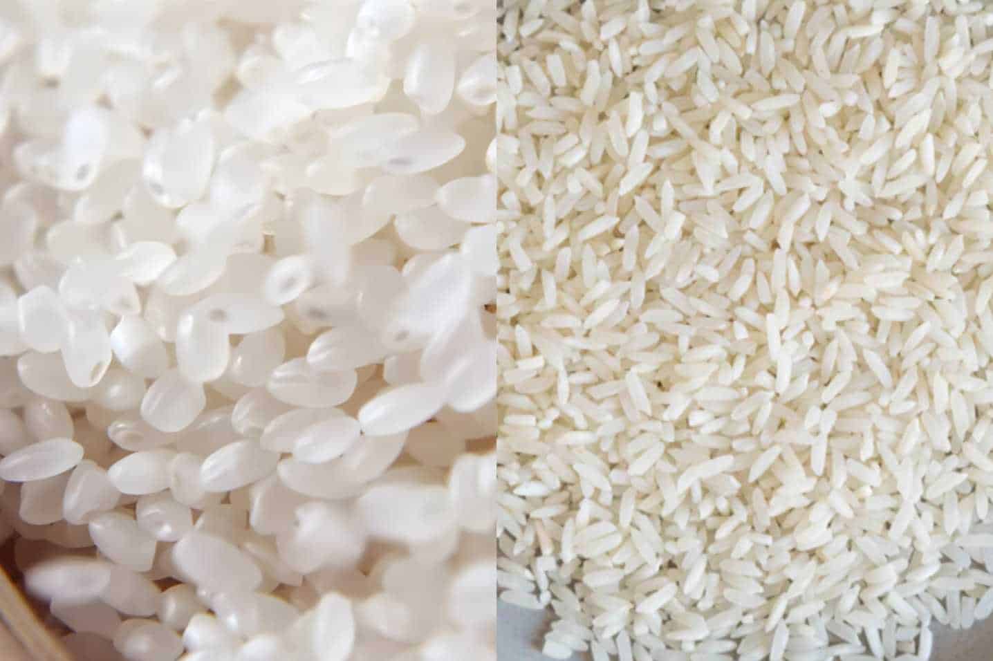 jasmine vs japanese rice