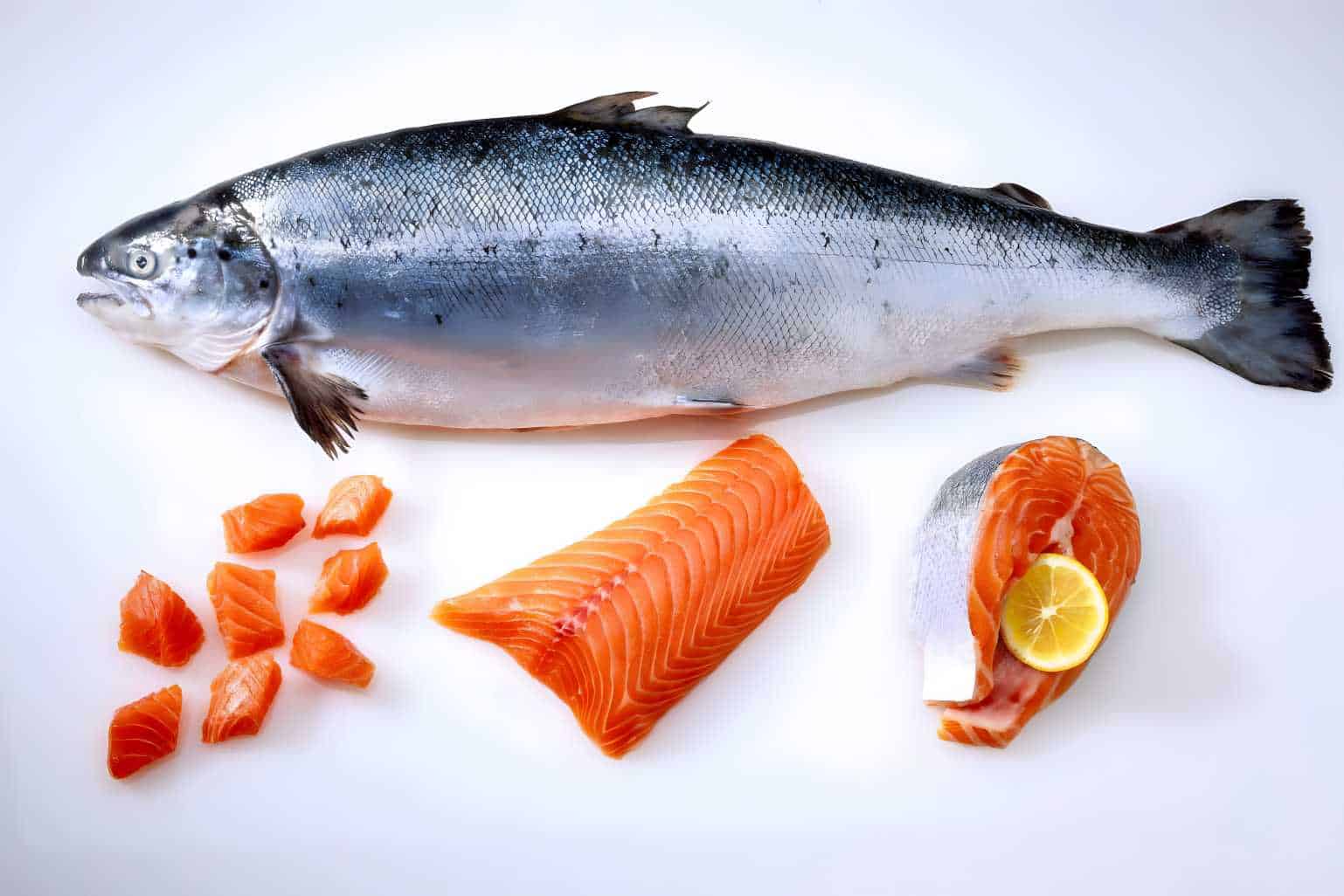 king salmon sushi