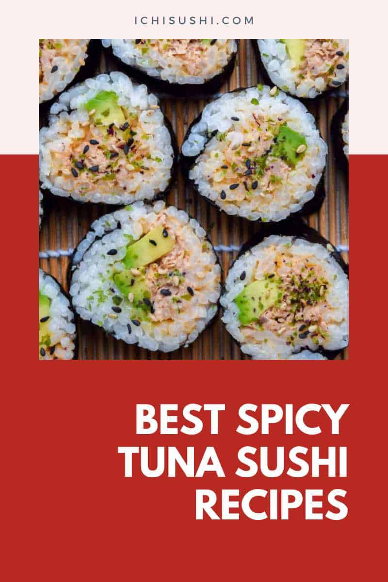 Best Spicy Tuna Sushi Recipes
