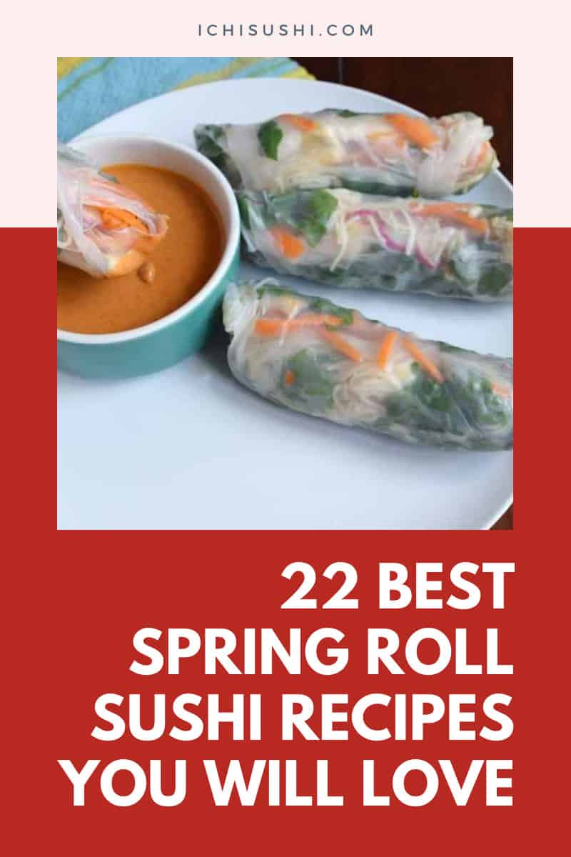 Spring Roll Sushi Recipes You Will Love