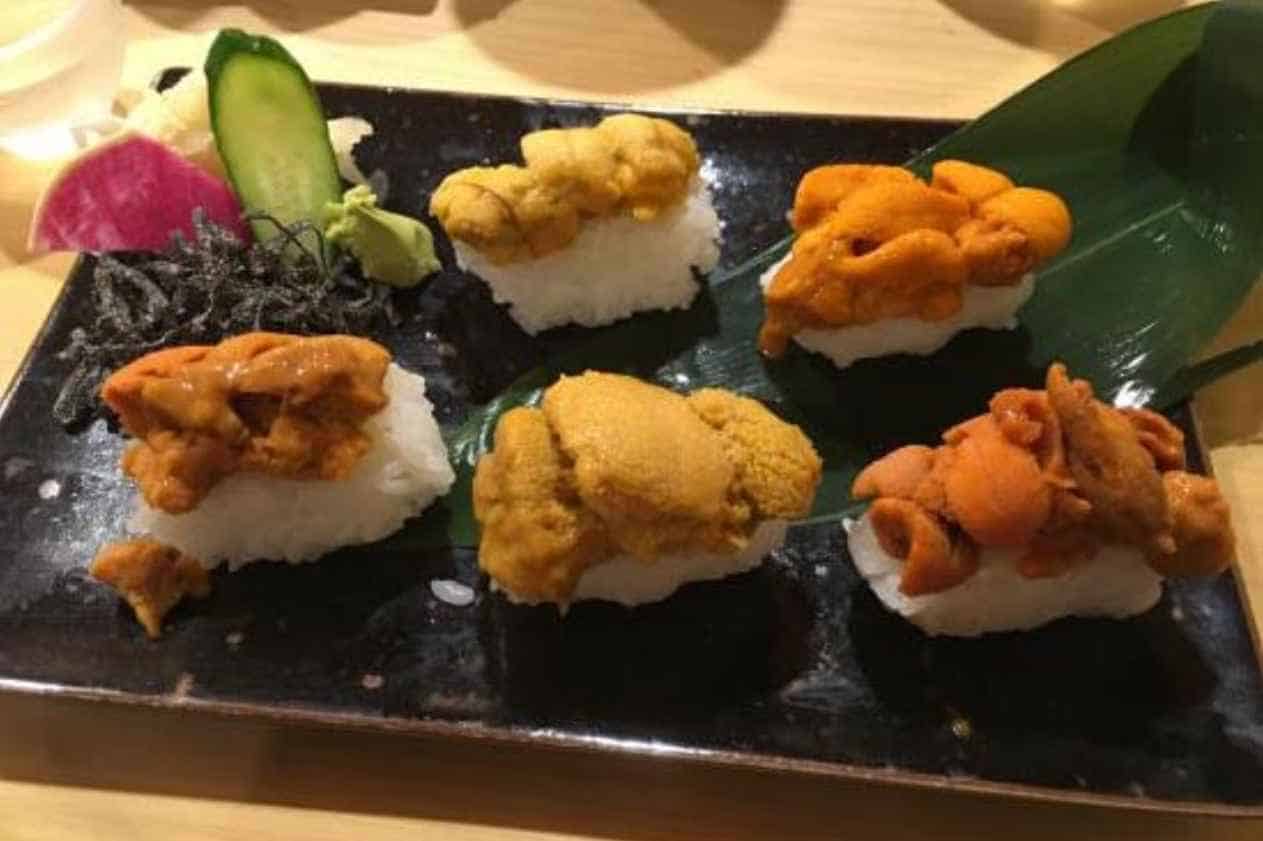 Different Types of Uni in Sushi