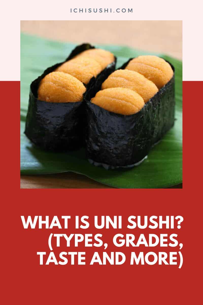 What is Uni Sushi (Types, Grades, Taste and More)